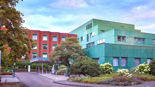 A daytime view of the clinic's entrance driveway, surrounded by lush green trees, shrubs, and white flowering hydrangeas.